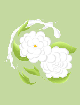 茉莉花茶