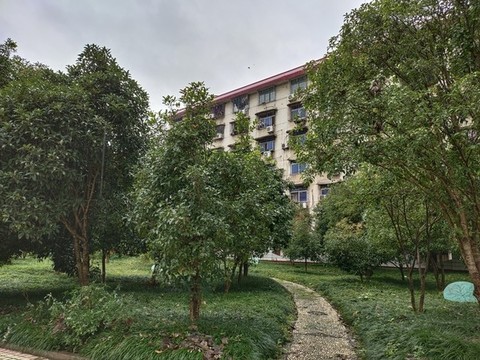 公園石子路