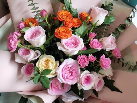多頭玫瑰花兒開(kāi)
