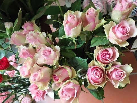 多頭玫瑰花