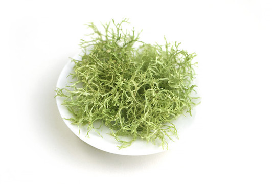 樹花菜
