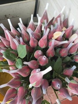 紅玫瑰