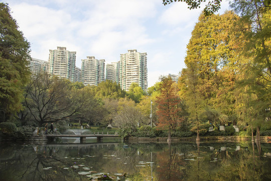 城市一角