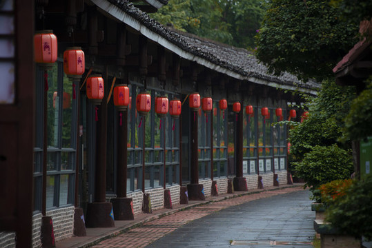 紅燈籠