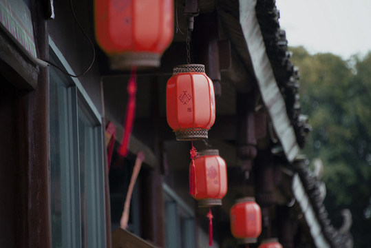 紅燈籠