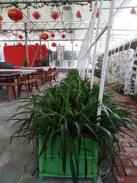 生態(tài)農(nóng)莊