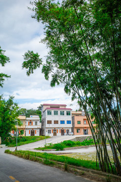 新農(nóng)村