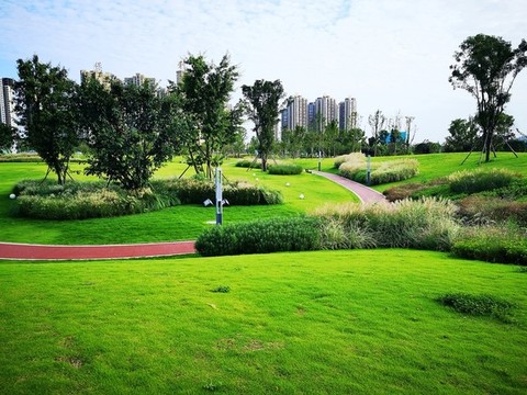 城市公園