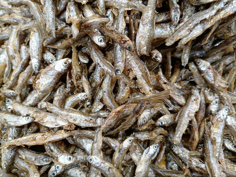 魚干