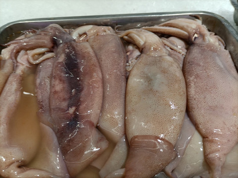 冰鮮八爪魚