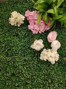 綠植墻