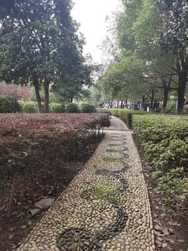 公園鵝卵石小路與綠植
