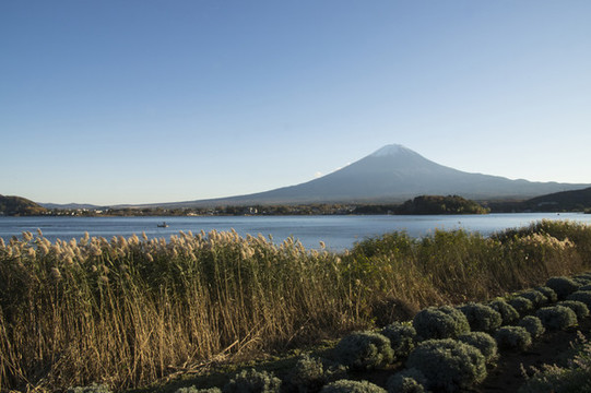 富士山下的湖