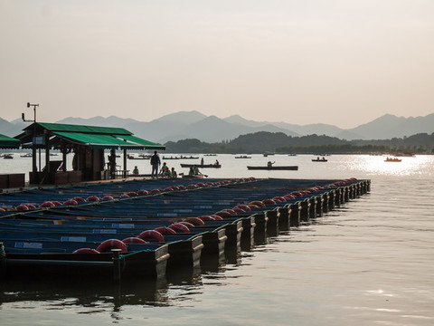 夕陽(yáng)下排列整齊的西湖自劃船
