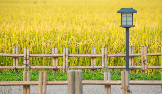 田園風(fēng)光