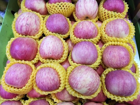 蘋果