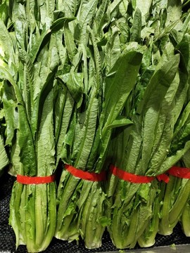 油麥菜