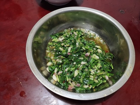 一盆蔥苗