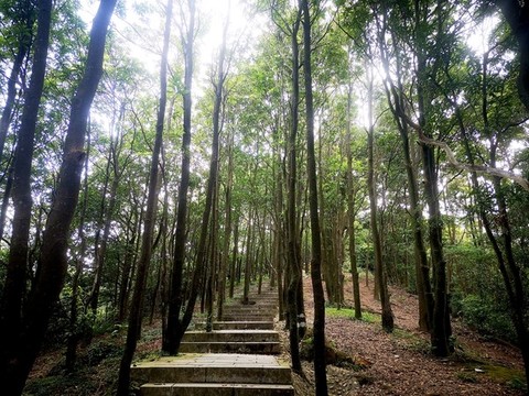 登山階梯