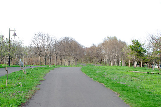公園小路