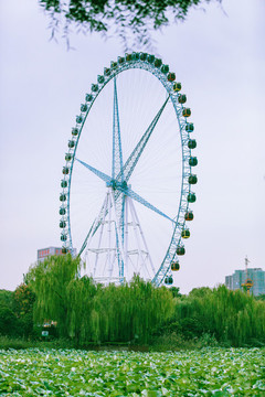 公園里的摩天輪