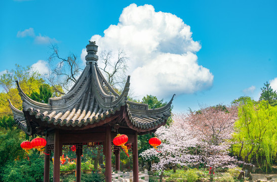 上海古猗園櫻花與園林
