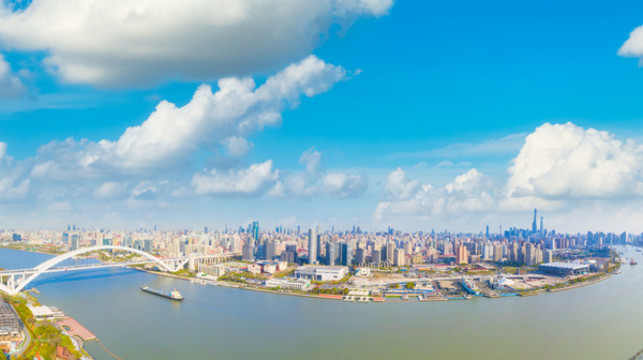 上海盧浦大橋
