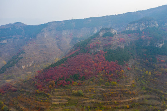 航拍濟(jì)南黑峪紅葉002