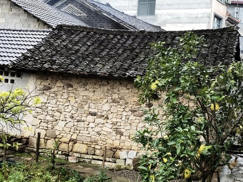 民居