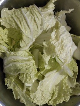 大白菜