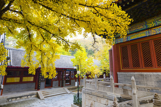 寺院