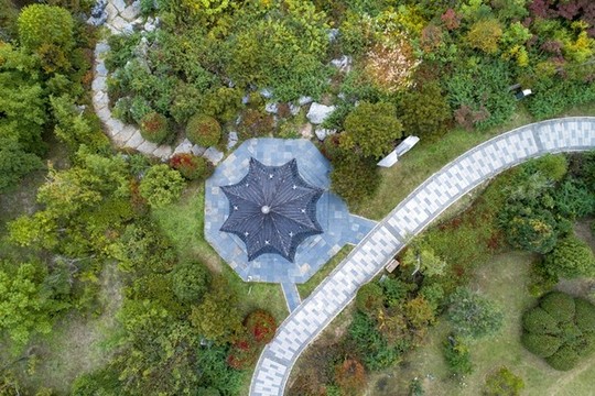 航拍秋天的公園色彩