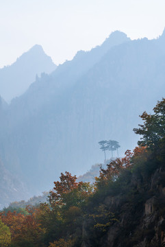 層巒疊嶂