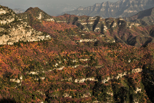 河北省石家莊市井陘縣仙臺(tái)山紅葉