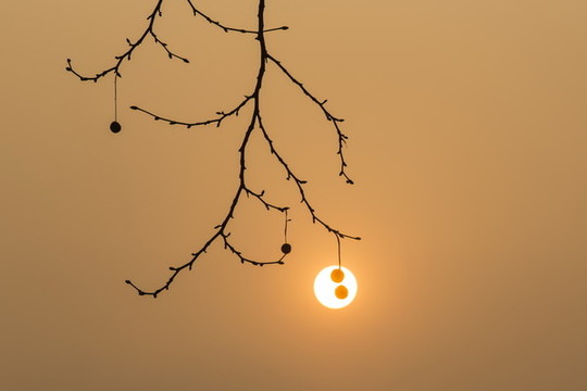 西湖晨曦