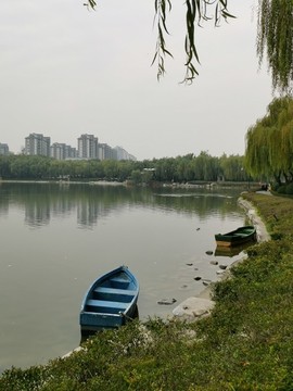 曲江游樂