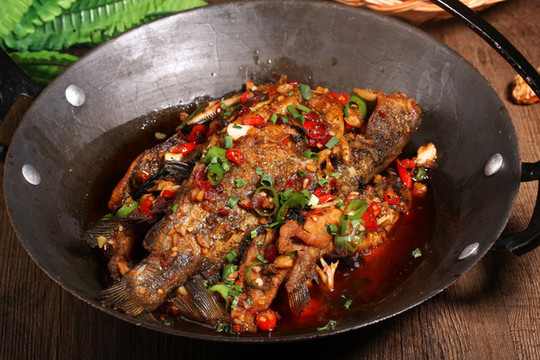 吊鍋石斑魚(yú)