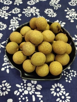 桂圓