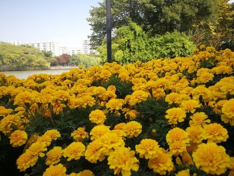 京杭大運河杭州清晨風光