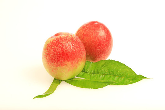 油桃