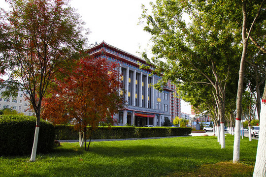 秋色深秋五彩樹紅花綠葉城市街景