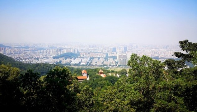 福永鳳凰山上俯視