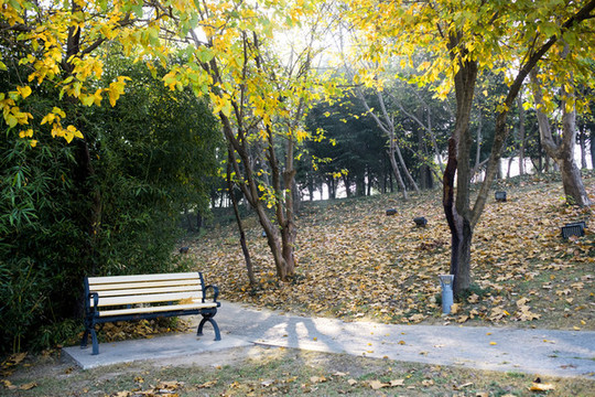 公園秋色