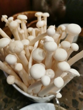 火鍋蘑菇