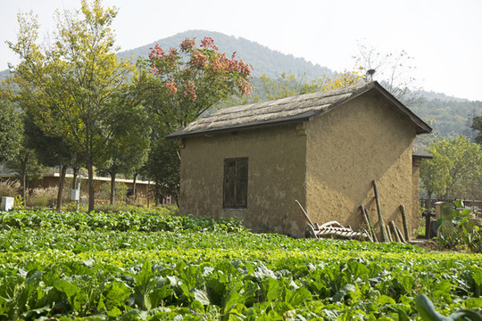 農(nóng)舍