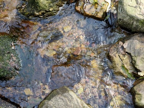 水紋