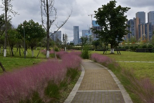 桂溪生態(tài)公園