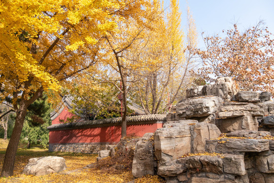 中國北京頤和園蠶神廟秋景