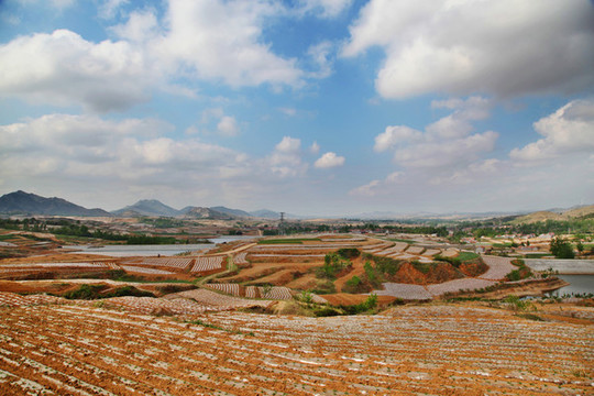 鄉(xiāng)村季風(fēng)