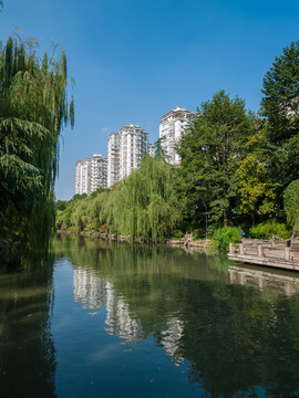 杭州東河風(fēng)光